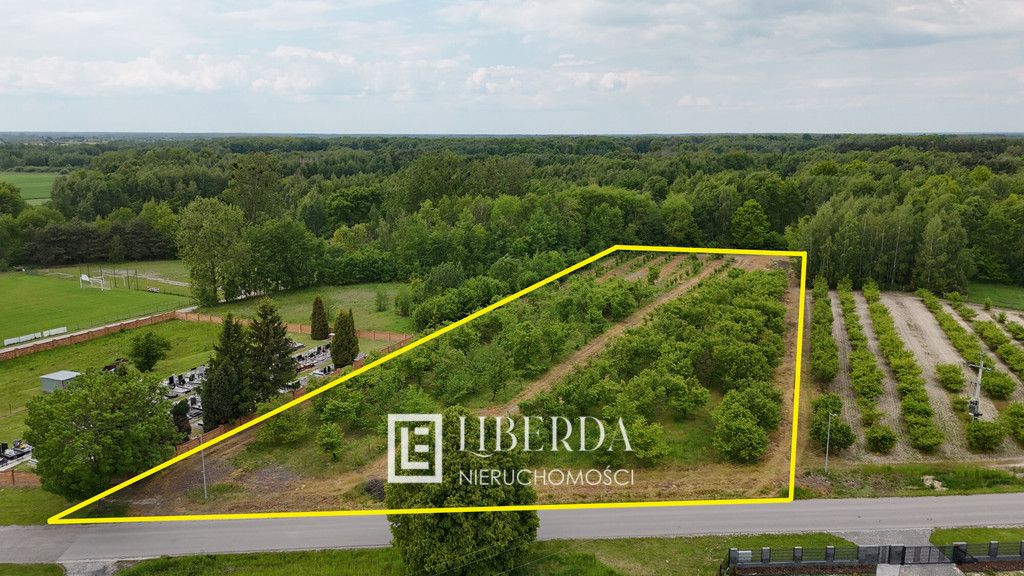 Działka Ludwin. Zdjęcie 3