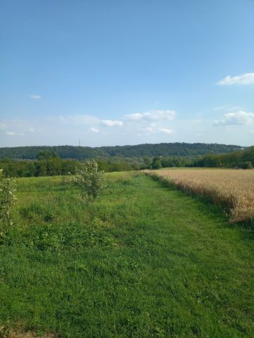 Działka rekreacyjna Wojszyn. Zdjęcie 1