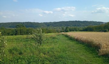 Działka Wojszyn