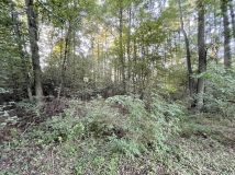 Działka budowlana Józefowo. Zdjęcie 3