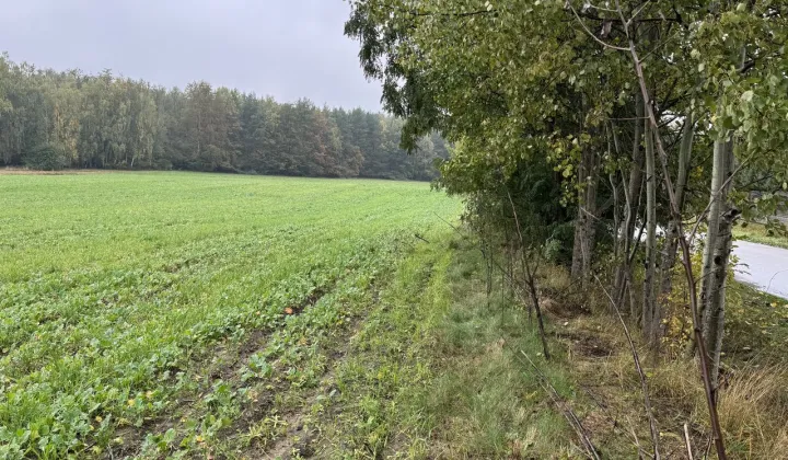 Działka budowlana Wola Kazubowa