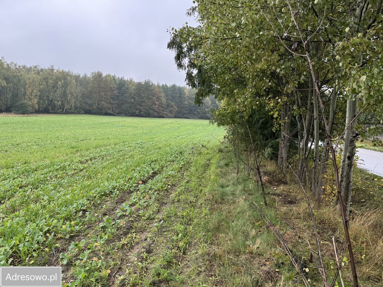 Działka budowlana Wola Kazubowa