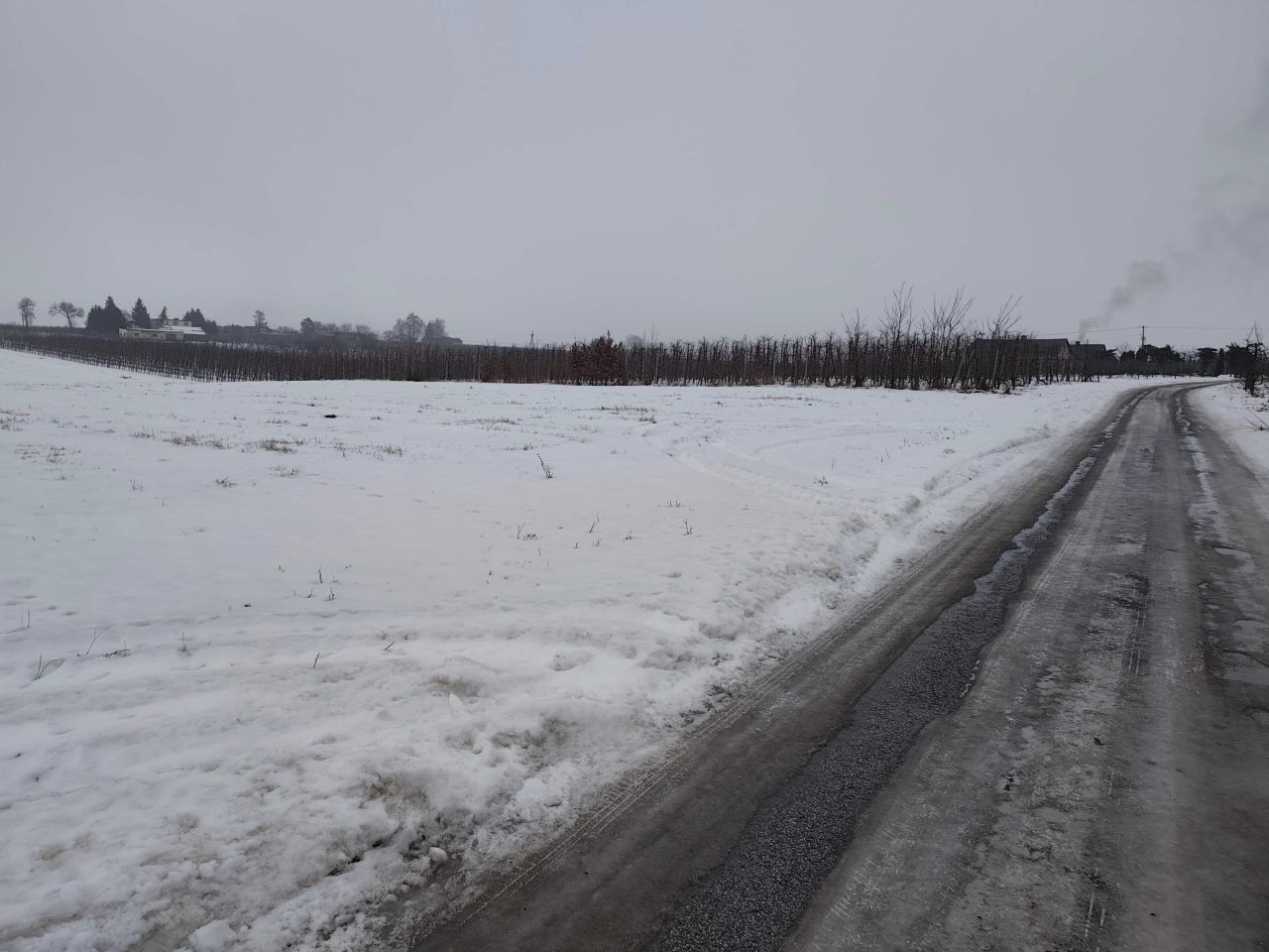 Działka rolna Wola-Chojnata. Zdjęcie 3