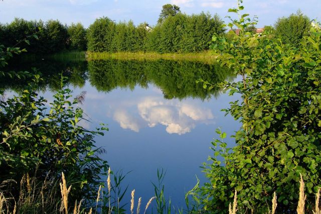 Działka budowlana Kraków Przylasek Rusiecki, ul. Rzepakowa. Zdjęcie 1