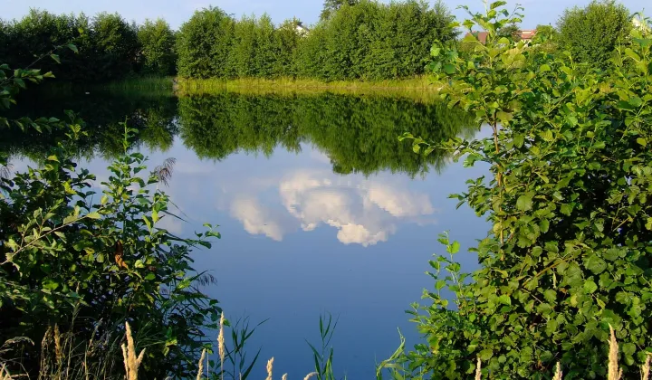 Działka budowlana Kraków Przylasek Rusiecki, ul. Rzepakowa