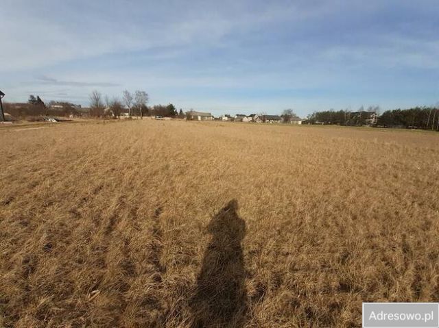 Działka rolno-budowlana Wiśniew, ul. Bankowa. Zdjęcie 1
