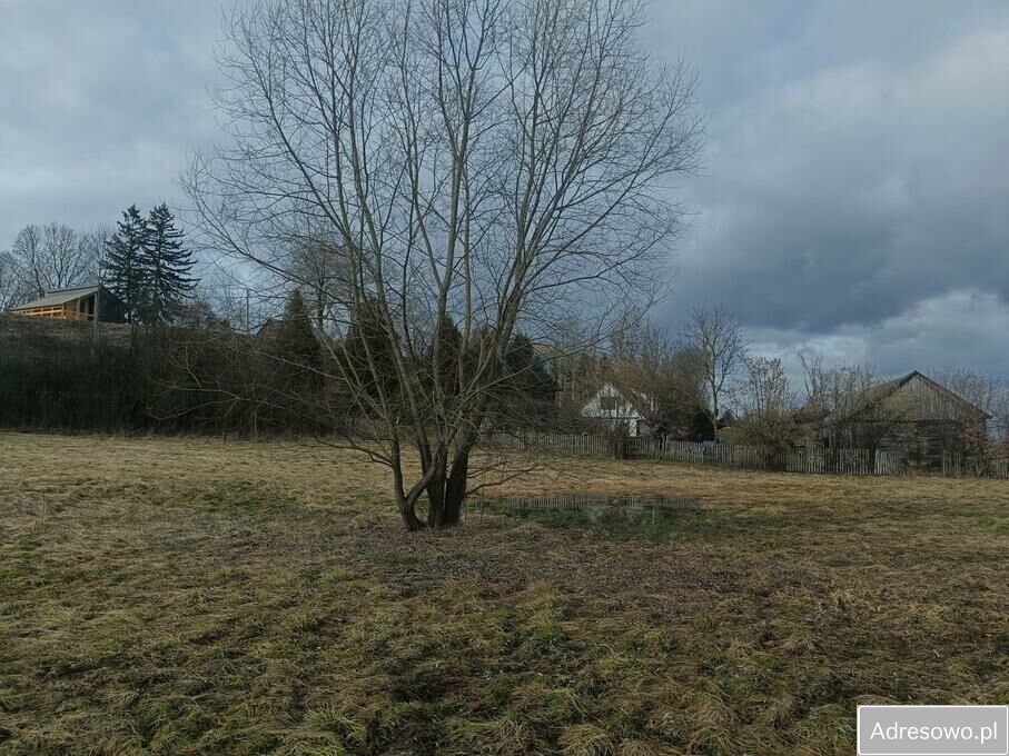 Działka rolna Stawki. Zdjęcie 14