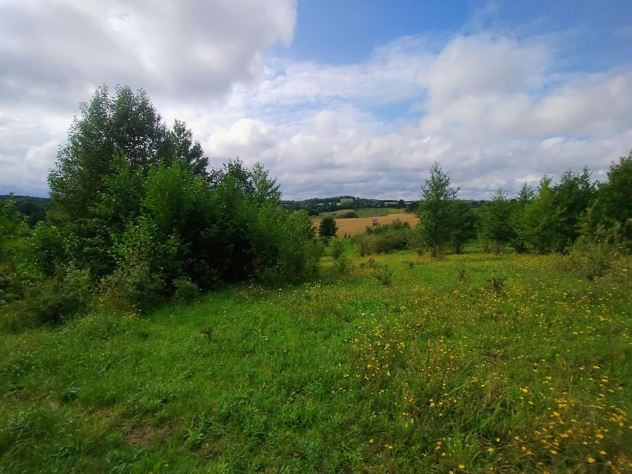 Działka rolna Stare Bolity. Zdjęcie 7