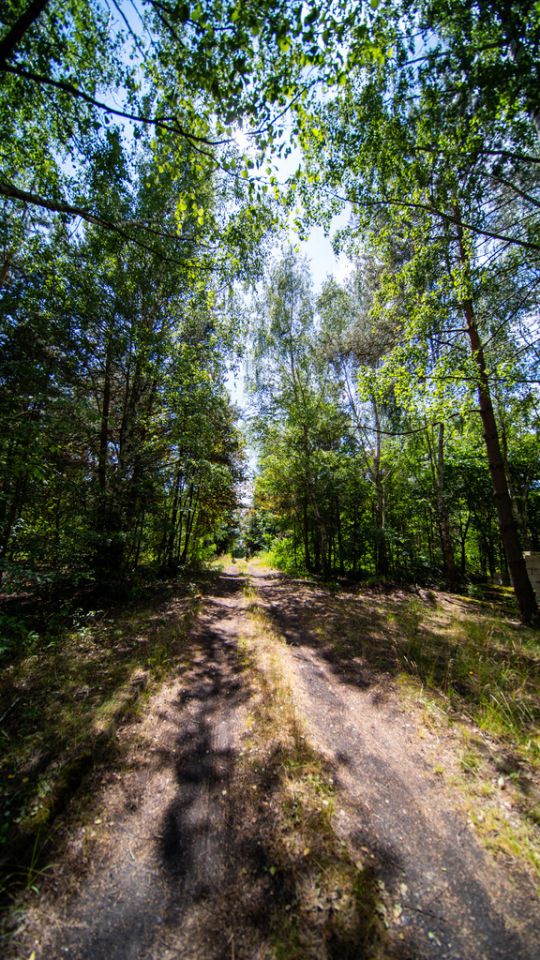 Działka siedliskowa Tarło. Zdjęcie 26