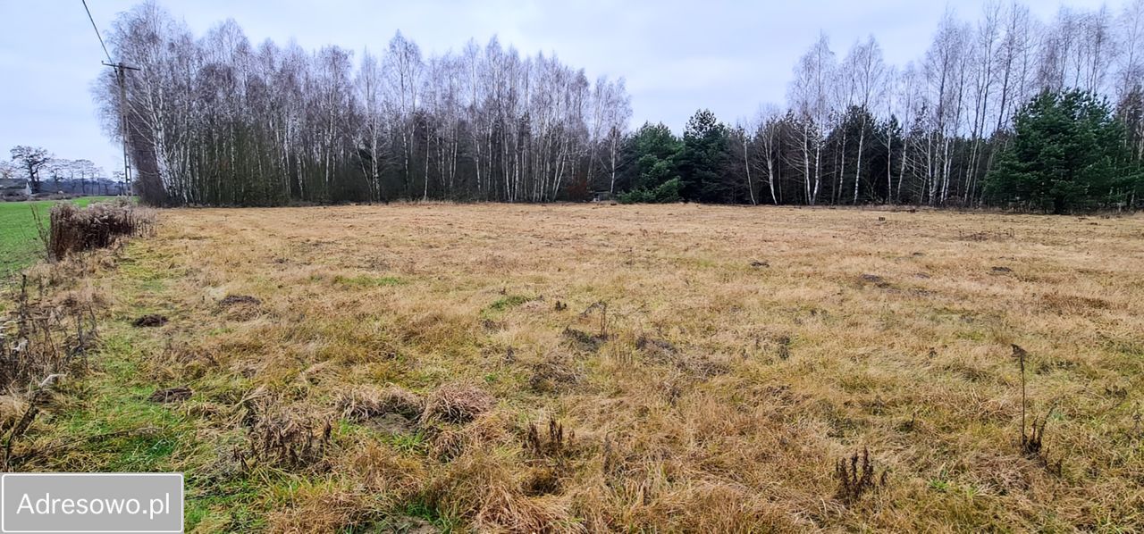 Działka budowlana Korabiewice. Zdjęcie 4