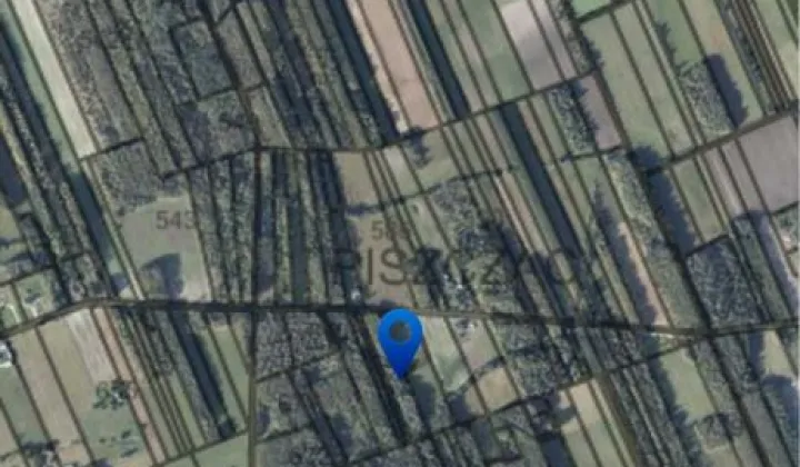 Działka leśna Piszczac