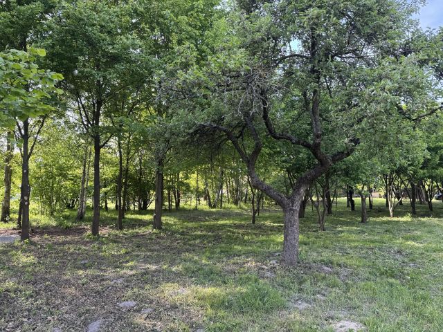 siedlisko, 10 pokoi Sobiesęki Pierwsze Wesółka, Sobiesęki Pierwsze. Zdjęcie 14