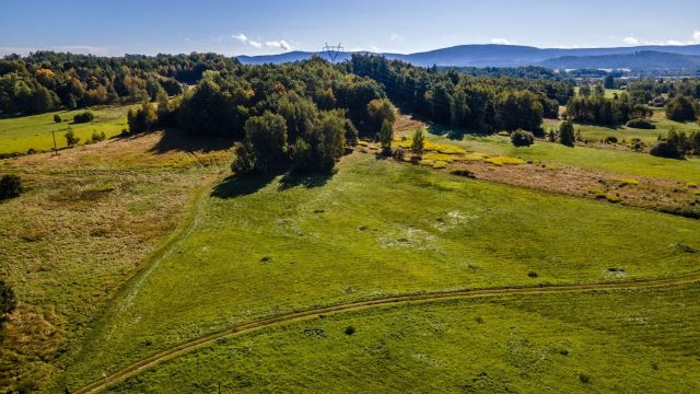Działka inwestycyjna Jelenia Góra Czarne. Zdjęcie 2
