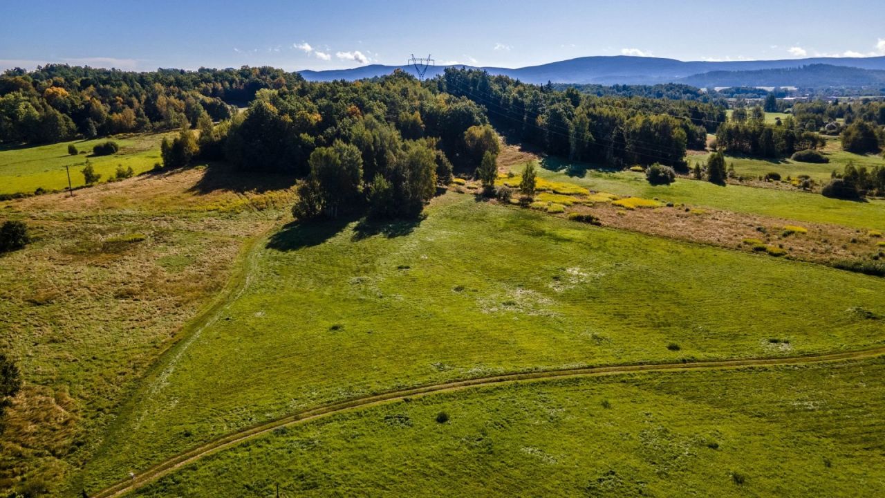 Działka inwestycyjna Jelenia Góra Czarne. Zdjęcie 2