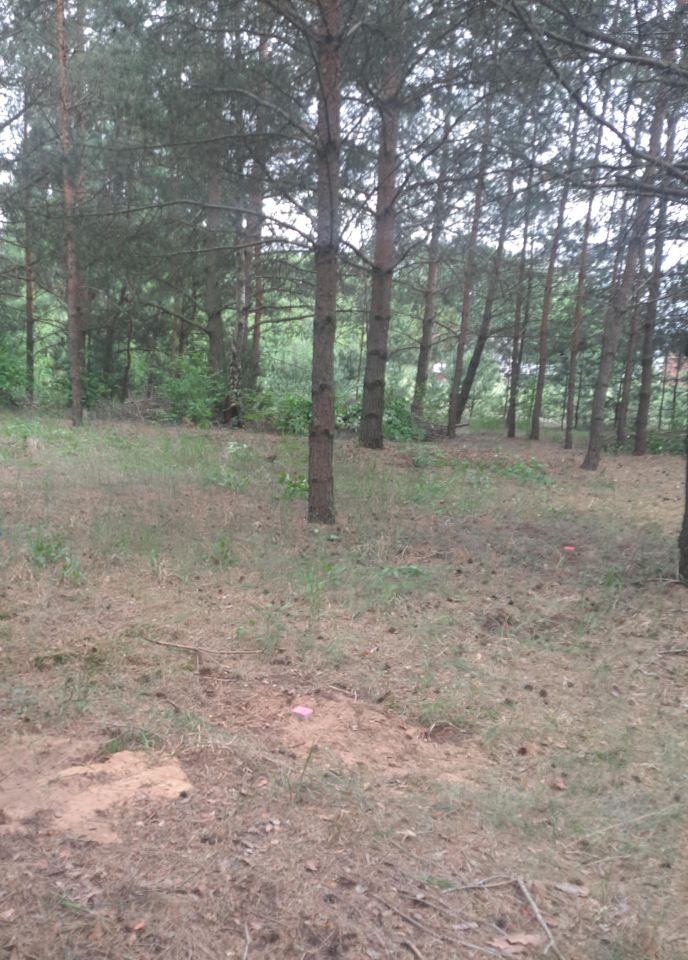 Działka budowlana Doratynka Skaryszewo. Zdjęcie 4
