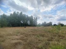 Działka budowlana Tomczyn. Zdjęcie 1