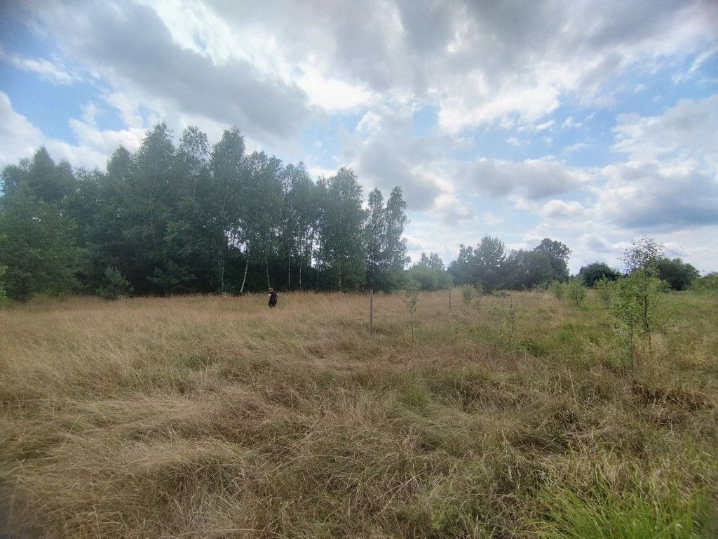 Działka budowlana Tomczyn. Zdjęcie 2