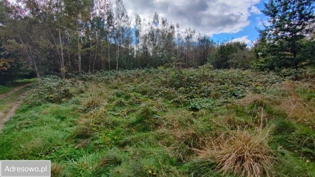 Działka rolno-budowlana Wola Radziszowska. Zdjęcie 1