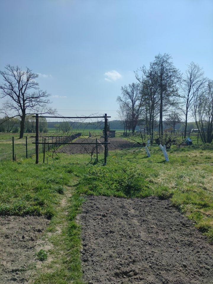 Działka rolna Trzebórz. Zdjęcie 8