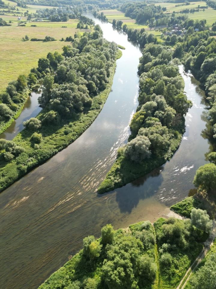 Działka rolno-budowlana Reczpol Przedchołowice. Zdjęcie 3