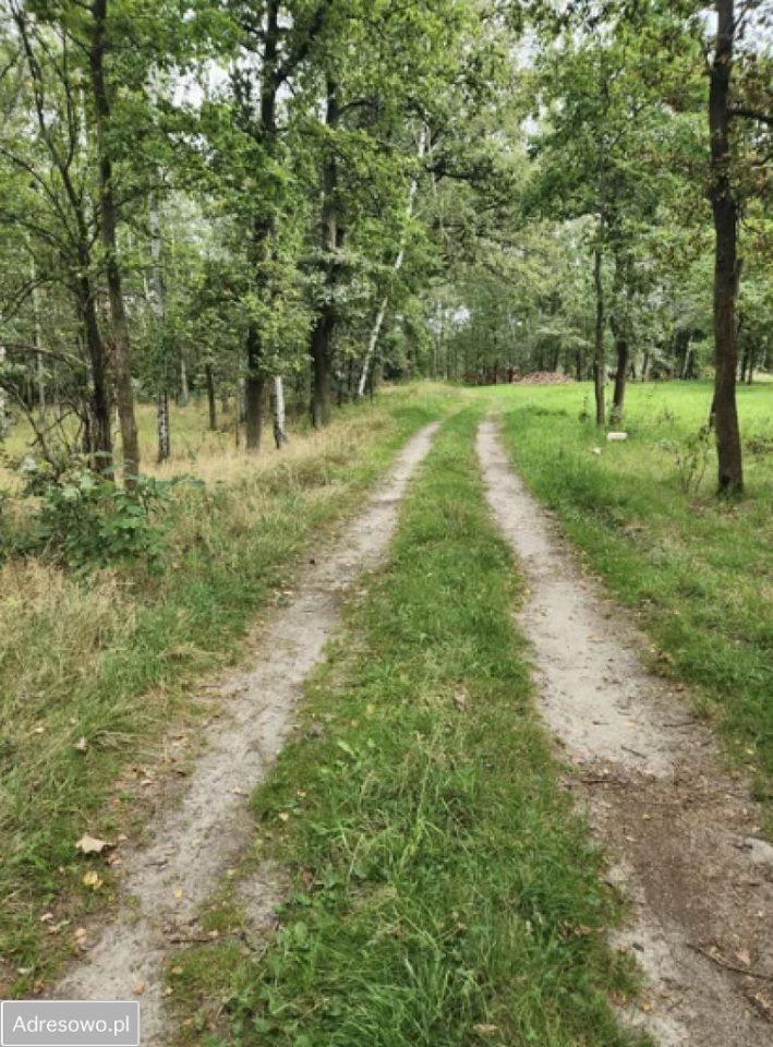 Działka rolna Dobrochów. Zdjęcie 11