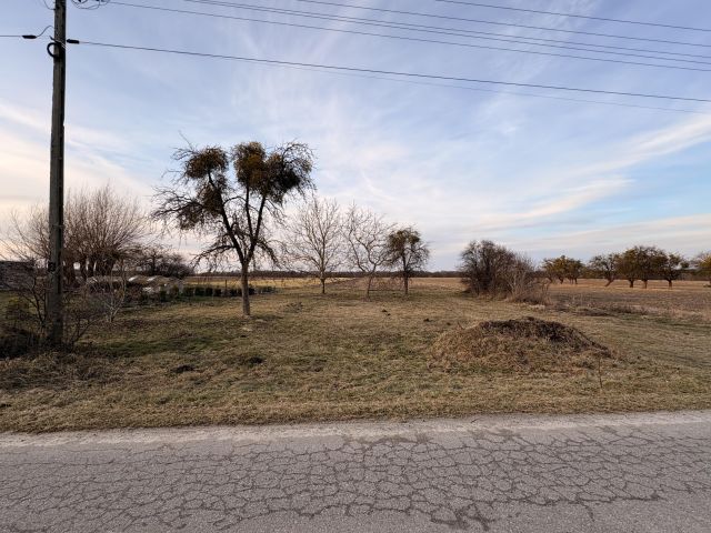 Działka budowlana Wygoda. Zdjęcie 1