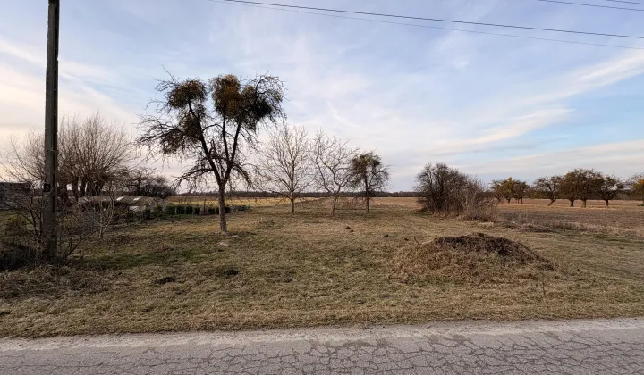 Działka budowlana Wygoda