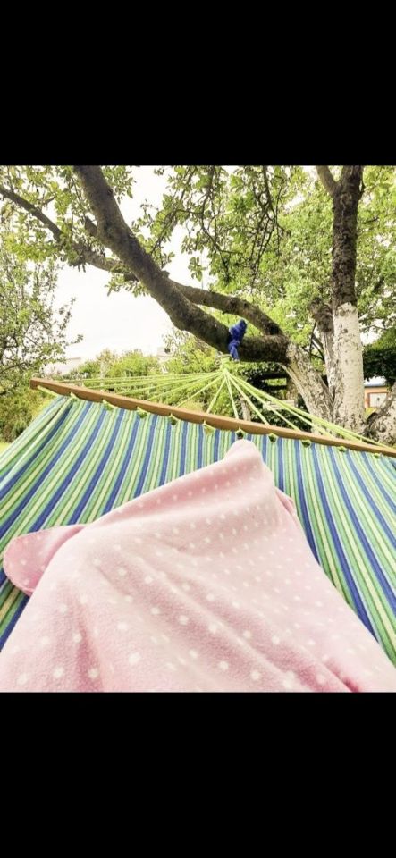 Działka rod Tczew. Zdjęcie 3