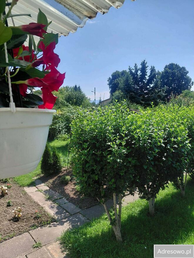 Działka rod Nowy Sącz Wólki. Zdjęcie 10