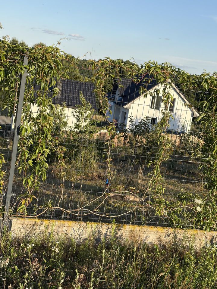 dom wolnostojący, 4 pokoje Żółte. Zdjęcie 10