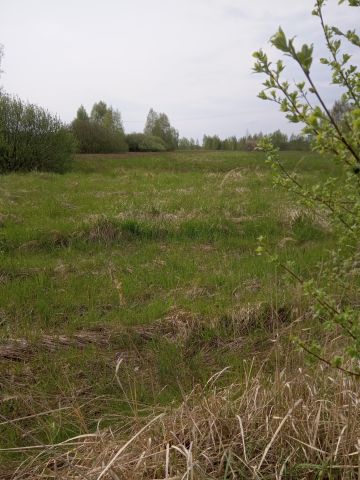 Działka rolno-budowlana Piekoszów, ul. Kryształowa. Zdjęcie 1