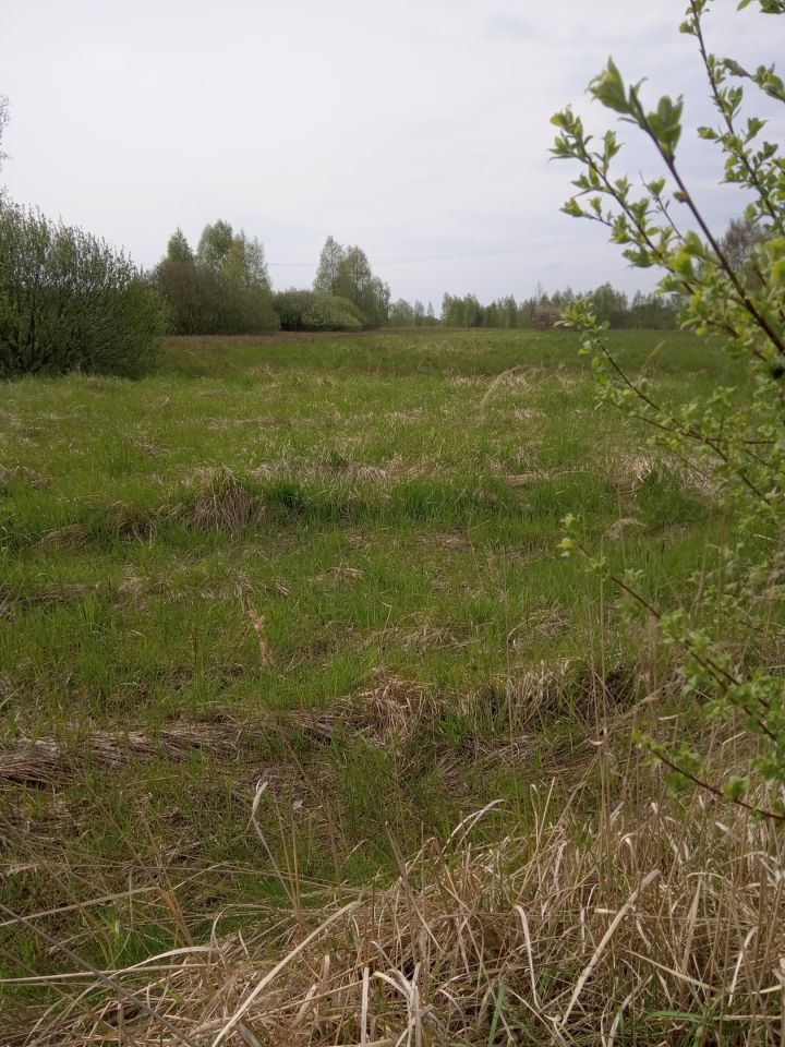 Działka rolno-budowlana Piekoszów, ul. Kryształowa