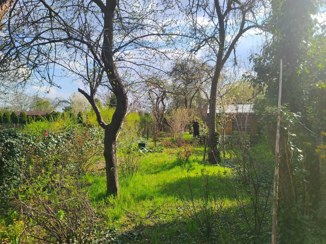 Działka rod Sosnowiec. Zdjęcie 4