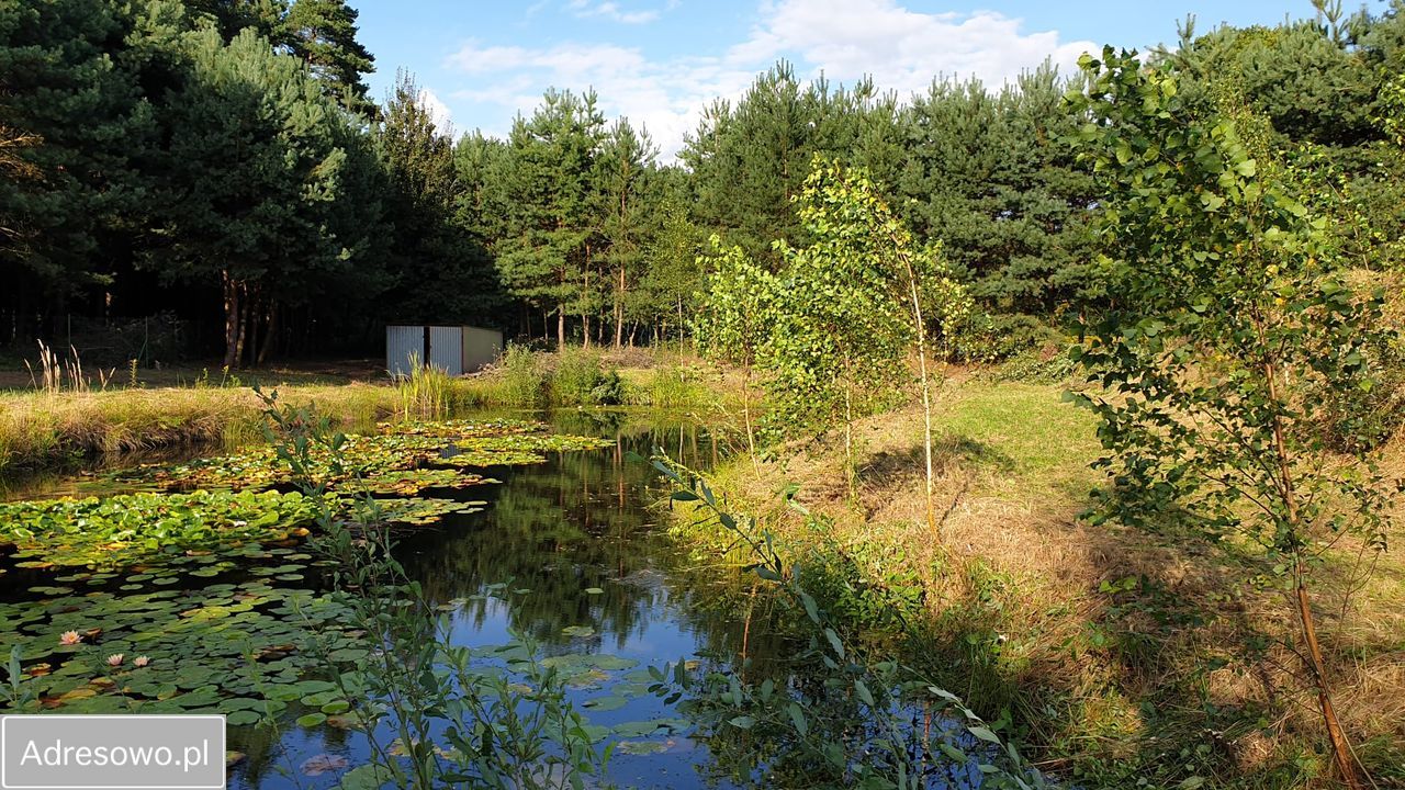 Działka siedliskowa Kup, ul. Polna. Zdjęcie 15