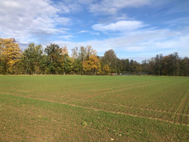 Działka rolno-budowlana Stara Wieś Stara Wieś Dolna, ul. Lipowa. Zdjęcie 4