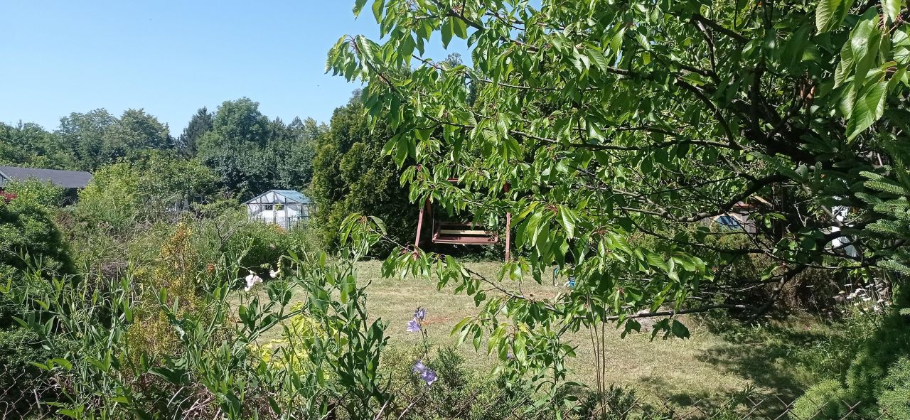 Działka rod Łódź Widzew, ul. Lodowa. Zdjęcie 23