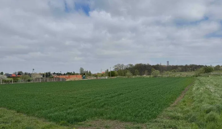 Działka budowlana Mściwojów