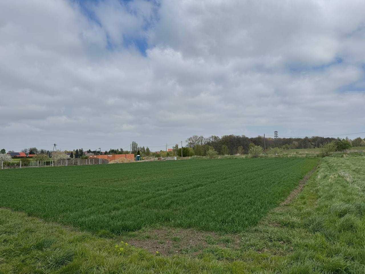 Działka budowlana Mściwojów. Zdjęcie 1