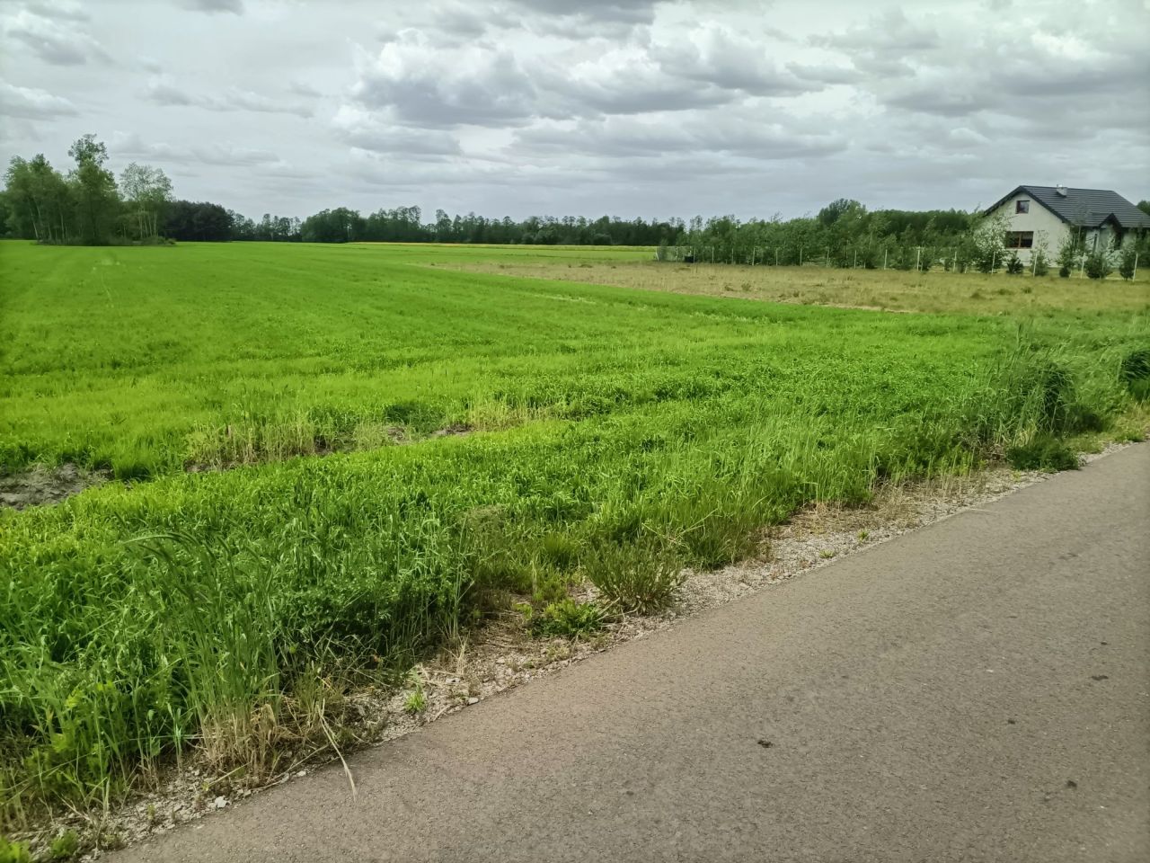 Działka rolno-budowlana Chwalborzyce. Zdjęcie 1