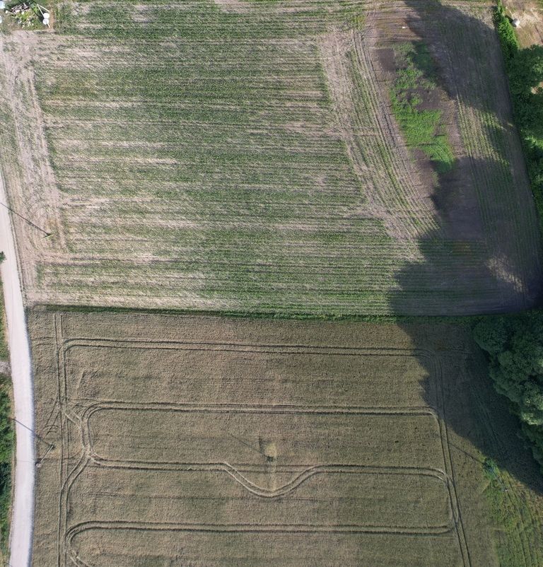 Działka budowlana Zarośle Cienkie. Zdjęcie 2