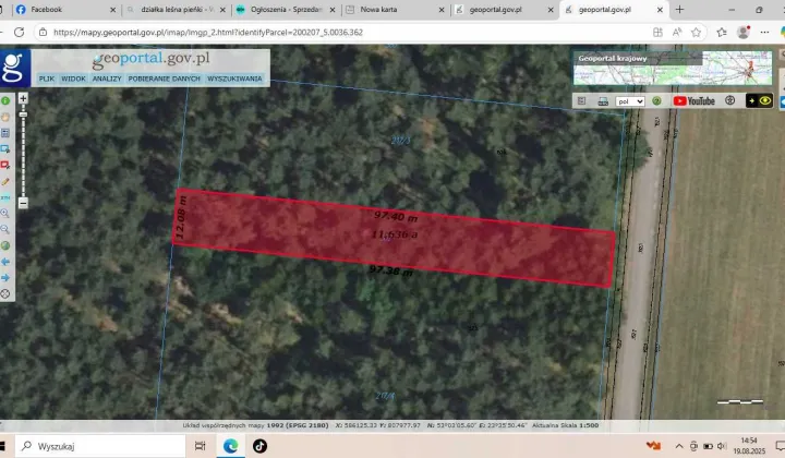 Działka leśna Pieńki