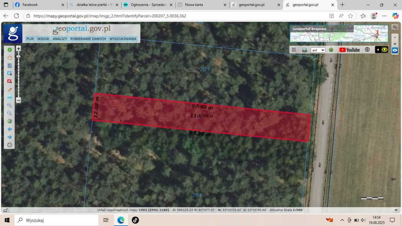 Działka leśna Pieńki