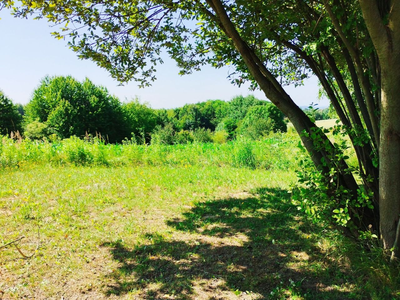 Działka rolna Bibice, ul. Leszczynowa. Zdjęcie 7