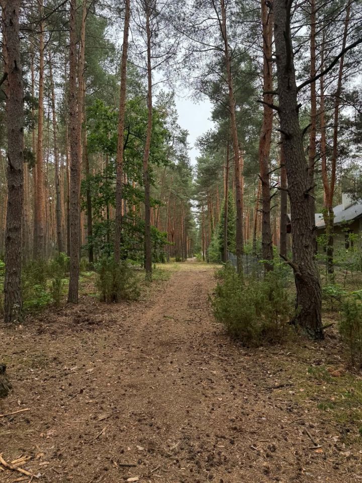 Działka budowlana Łosie, ul. Działkowa. Zdjęcie 4