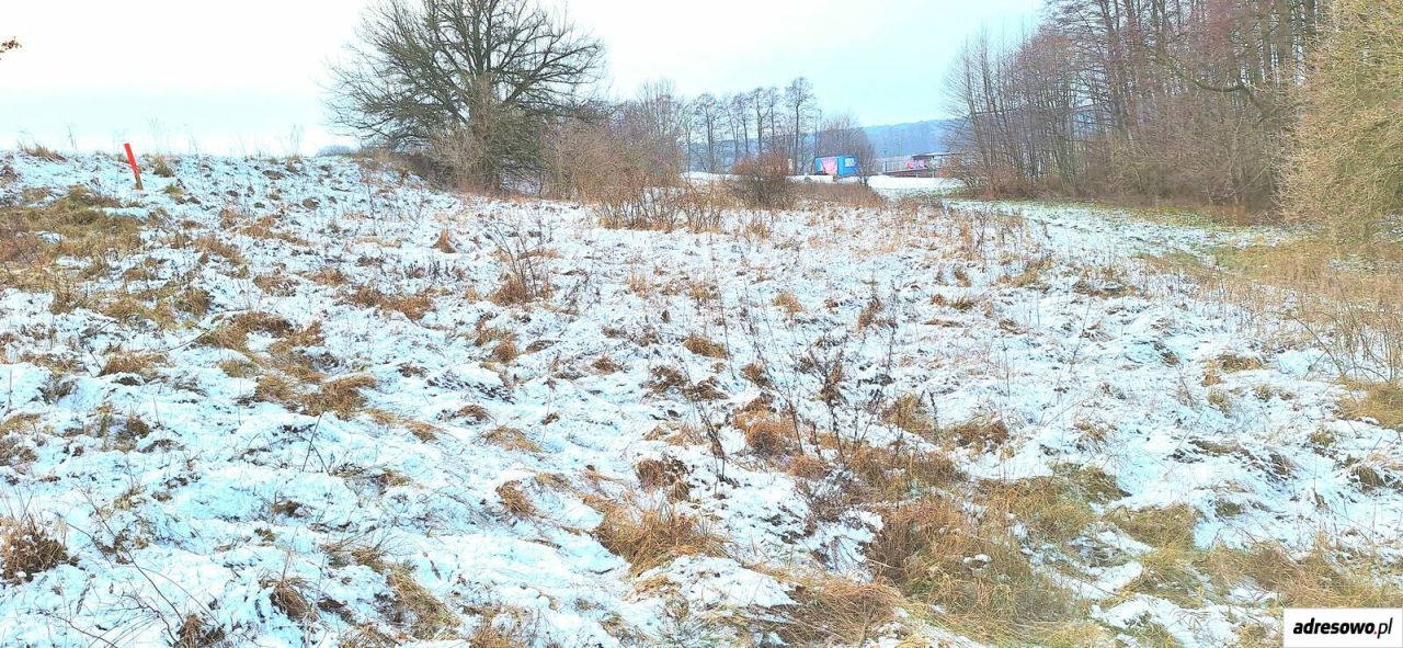 Działka rolna Margonin. Zdjęcie 9