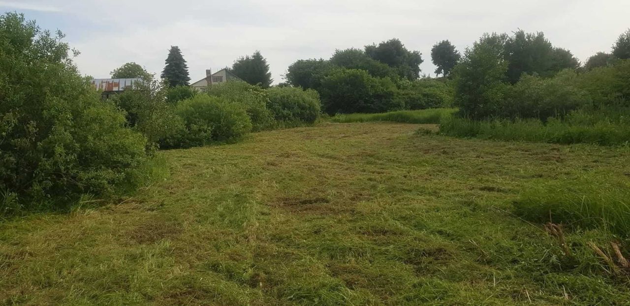 siedlisko Turowola. Zdjęcie 5