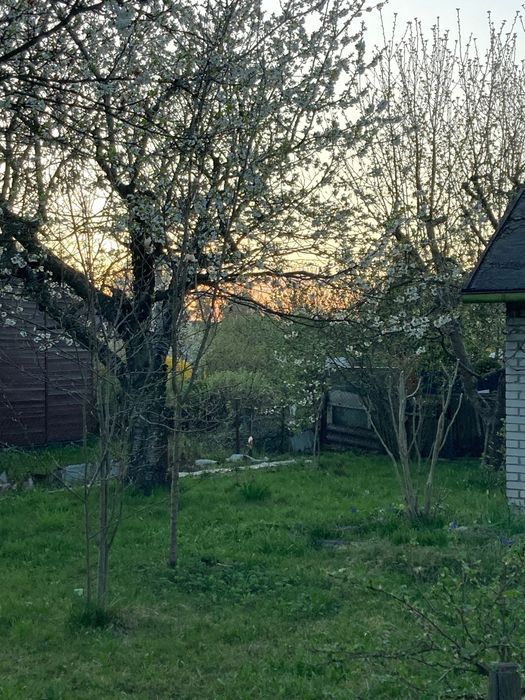 Działka rod Zawiercie Marciszów, ul. Rekreacyjna. Zdjęcie 2