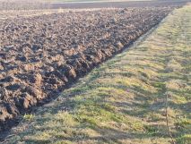 Działka rolna Ruszcza-Płaszczyzna, Ruszcza Płaszczyzna. Zdjęcie 4