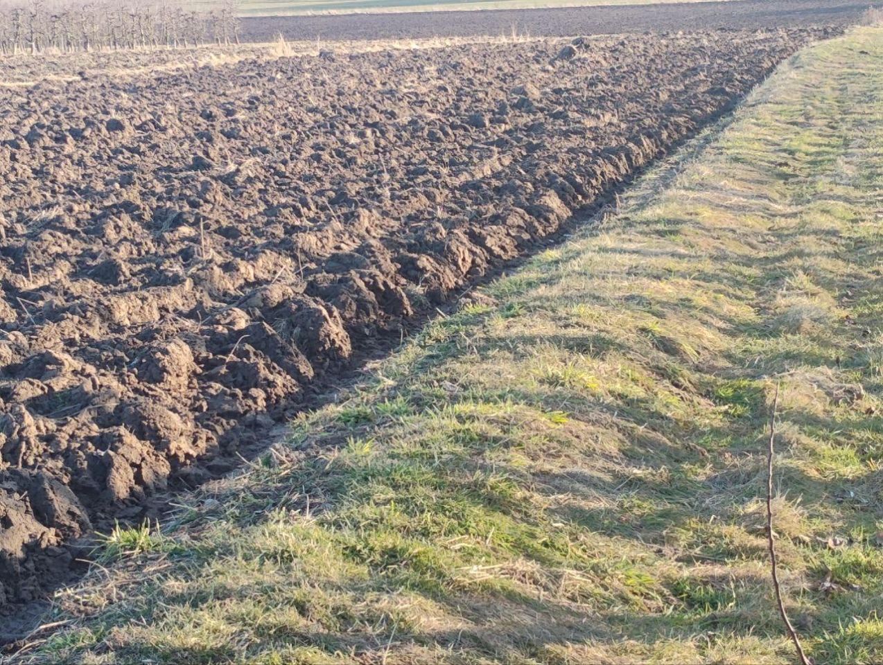 Działka rolna Ruszcza-Płaszczyzna, Ruszcza Płaszczyzna. Zdjęcie 5