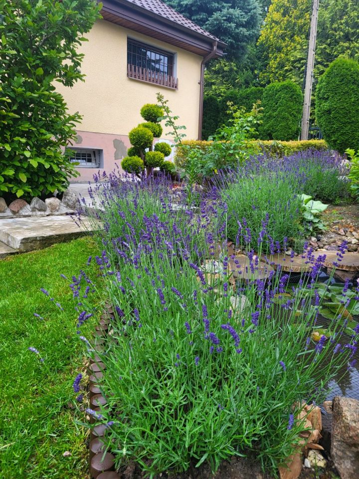 Działka rod Wierzchucinek. Zdjęcie 18